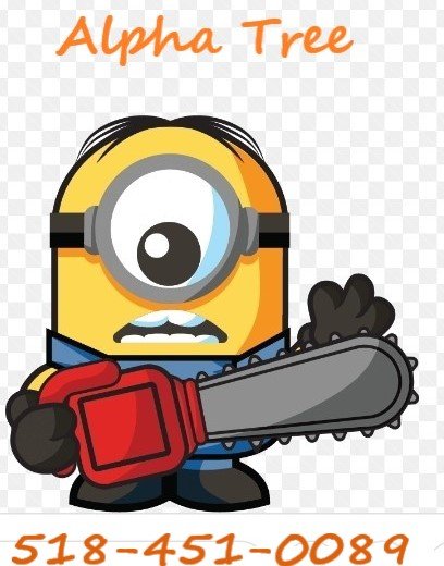 Alpha Tree Service - tree service in Troy, NY