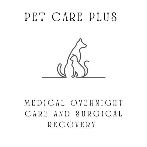 PET CARE PLUS Updated August 2024 Request Information 1044 N