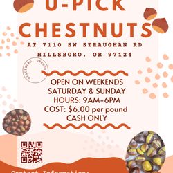 U-Pick Chestnuts - OPEN OCTOBER 4th!