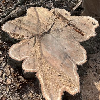 Michiana Timber Management - Tree Services Near Me Michiana Timber Management - Tree Services Near Me