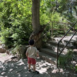 The MK Morrison Knudsen Nature Center