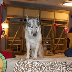The Barking Lot - FRITZ, who left us last year for the angels, was the ambassador to all clients.  His spirit still blesses us and all clients.