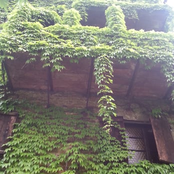 Centro dell'Incisione - building covered in greenery - Art Galleries Near Me - Milan, Michigan