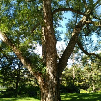 Toronto Island - Parks Near Me - Toronto, Ontario