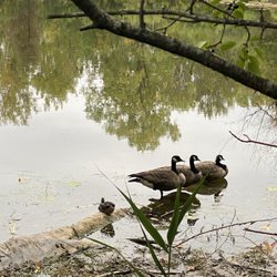 Tinker Nature Park & Hansen Nature Center