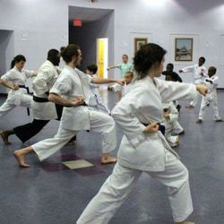 Japan Karate Institute James Island - My Junior Instructors leading by examples with their opposite side punches!