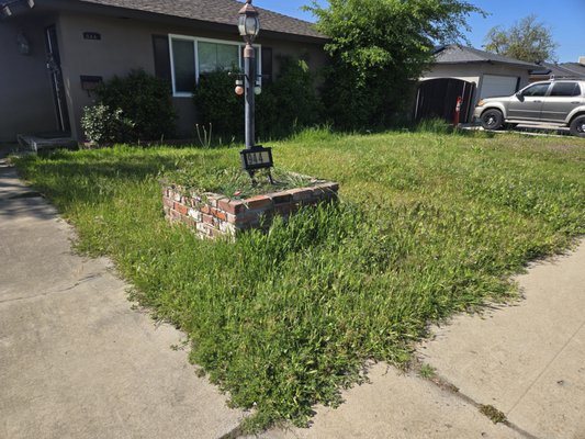 Lawn Cleanup - Some of the recent properties we have had a huge transformation on.