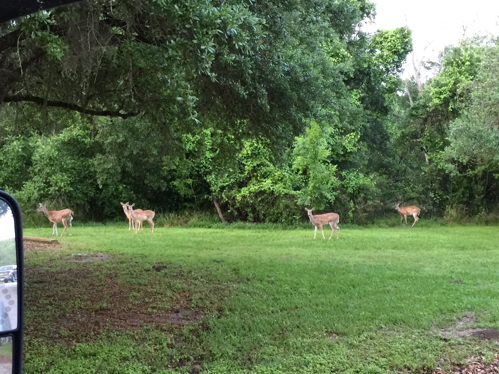 BRACKENRIDGE MAIN EVENT CENTER Updated May 2024 284 Brackenridge