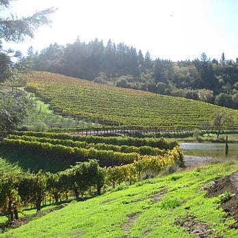 A Rafanelli Winery - Wineries Near Me - Healdsburg, California A Rafanelli Winery - Wineries Near Me - Healdsburg, California