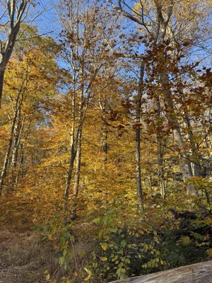 Harriman State Park by null