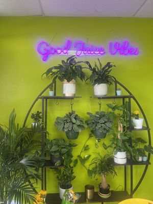 Sol Good Juice by null