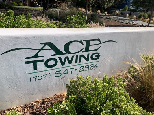ACE TOWING - Updated July 2026 - 35 Photos & 226 Reviews - 251 Bellevue ...
