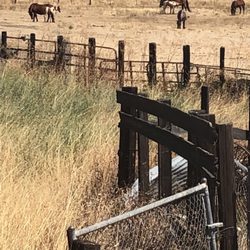 Placerville and Sacramento Valley Railroad