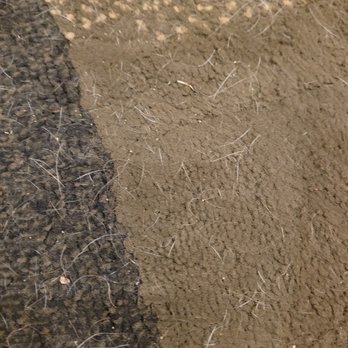 Zisty Clean - after "4 hour cleaning" - Home Cleaning Near Me - Denver, Colorado