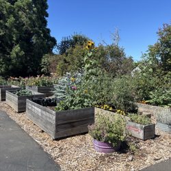 Flying Bee Ranch - Pretty gardens outside