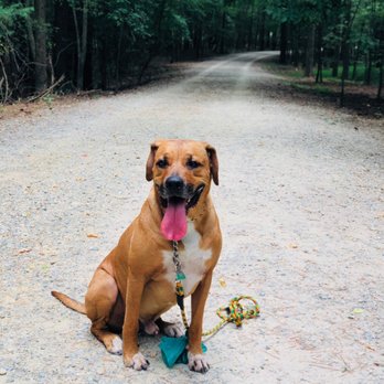 Carolina North Forest - Hiking Near Me - Chapel Hill, North Carolina