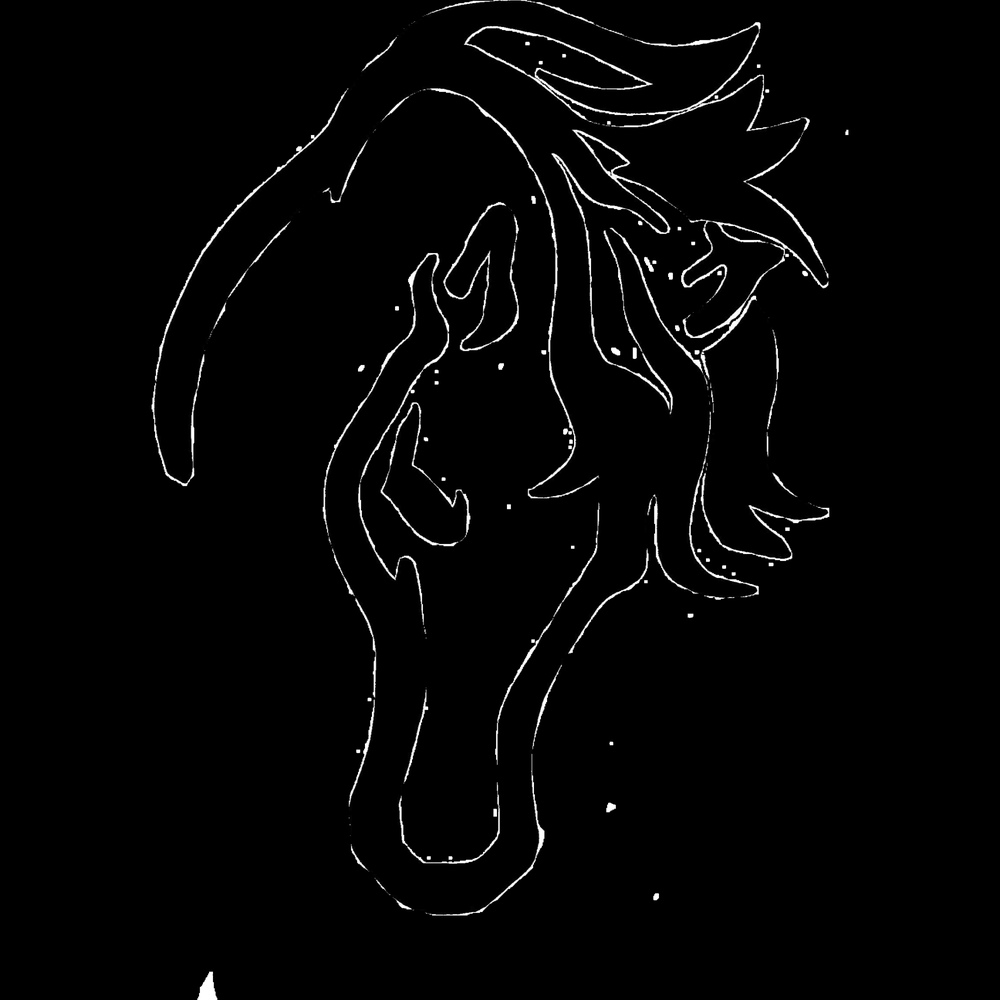 Equi-Pair - equestrian in Stafford, VA