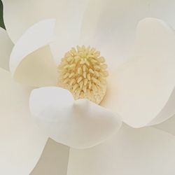 Gallery Patrick - Undefined