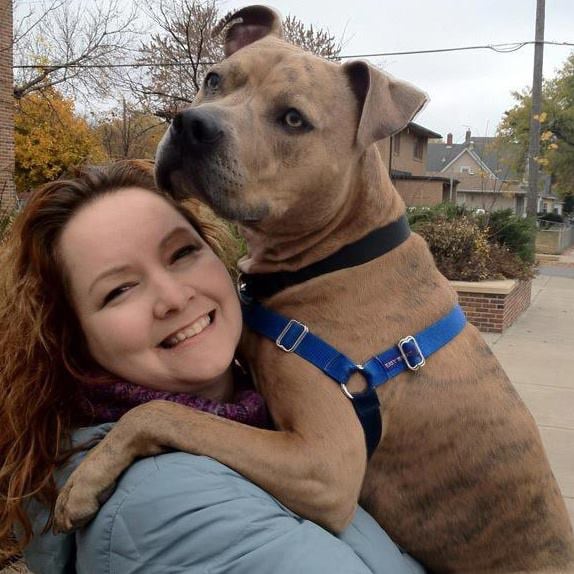 Endless Pawsabilities, LLC - pet boarding facility in Saint Paul, MN