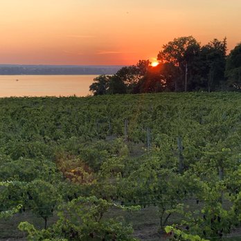 Ventosa Vineyards - Wineries Near Me - Geneva, New York