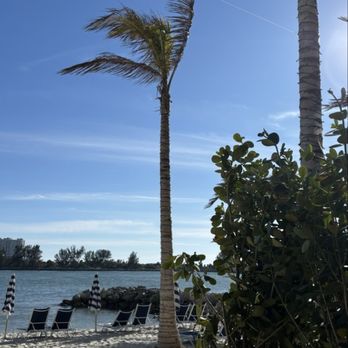 Eskape Beach Bar and Grill - Seafood Near Me - Clearwater, Florida Eskape Beach Bar and Grill - Seafood Near Me - Clearwater, Florida