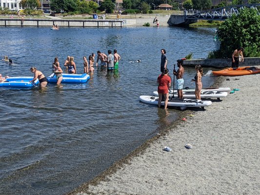 Lake Union Park by null
