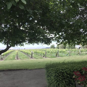 Grape Escape - Wine Tours Near Me - Napier, AUK