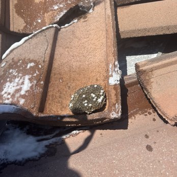 MJC Live Bee removal - Pest Control Near Me MJC Live Bee removal - Pest Control Near Me