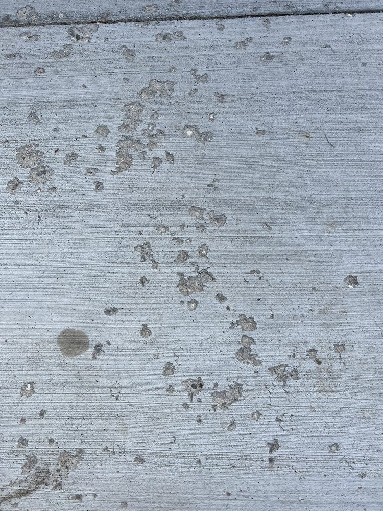 RISING FORCE CONCRETE CONTRACTORS Updated August 2024 Cheyenne