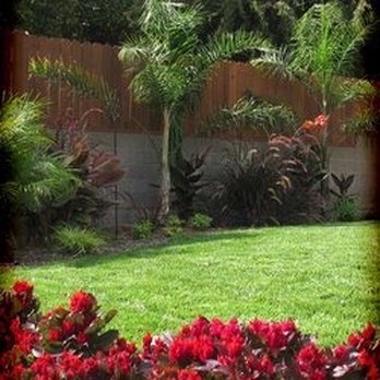 Land X Landscape Construction - Here is my lovely back yard thanks Ramon and Green Nature - Landscaping Near Me - Ontario, California