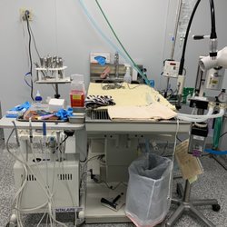 Northside Pet Hospital