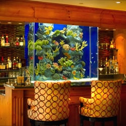 The Aquarium Connection