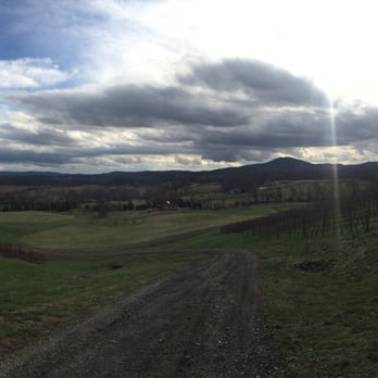 Lost Mountain Vineyards - Wineries Near Me - Delaplane, Virginia