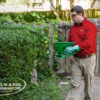 Bug-N-A-Rug Exterminators - Wilmington - Pest Control Near Me - Wilmington, North Carolina Bug-N-A-Rug Exterminators - Wilmington - Pest Control Near Me - Wilmington, North Carolina