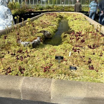 Glasgow Botanic Gardens - Parks Near Me - Glasgow, GLG
