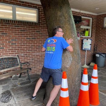 Moore's Country Store - Getting some hippy time with the tree of the hour. - Grocery Near Me - Lynchburg, Virginia