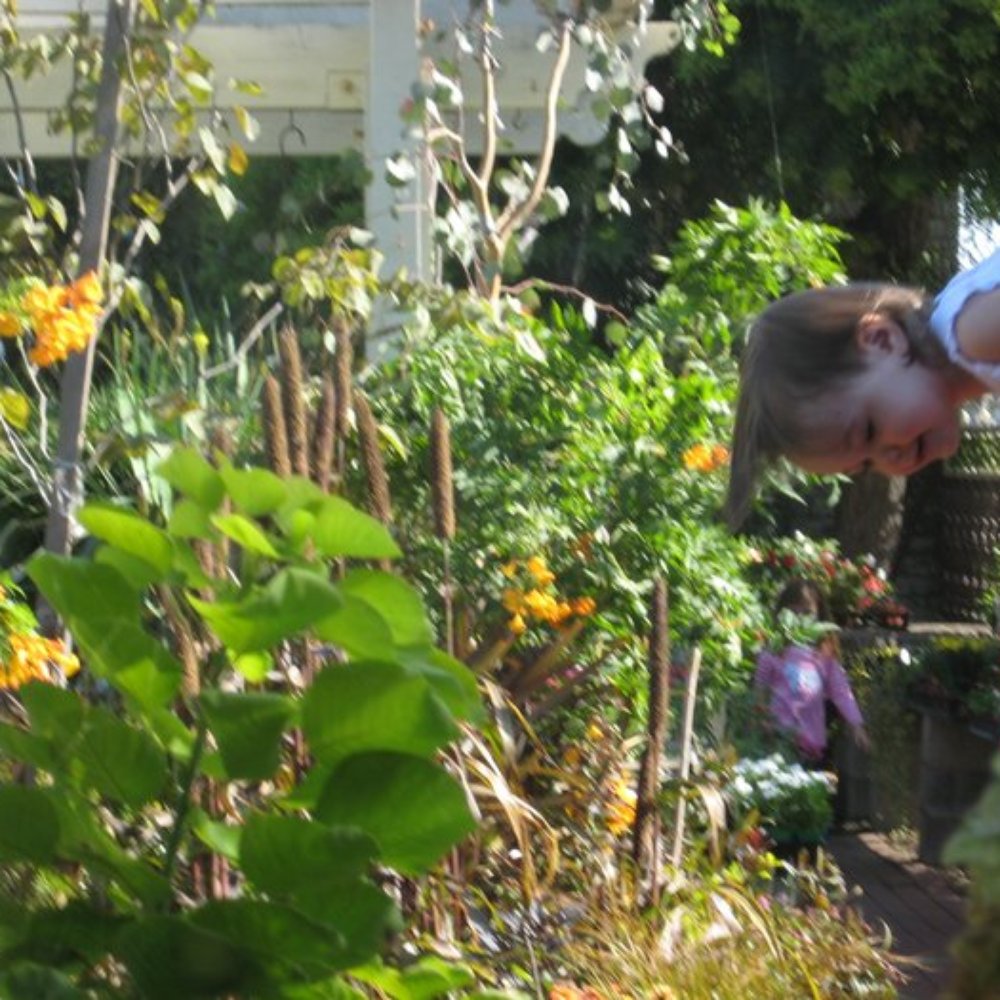 Brita's Garden Brita's Garden