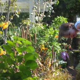 Brita's Garden Brita's Garden