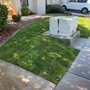 New Horizon Landscape And Maintenance