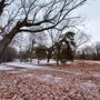 Photo of Blue Bell Park
