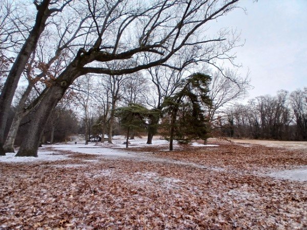 Blue Bell Park