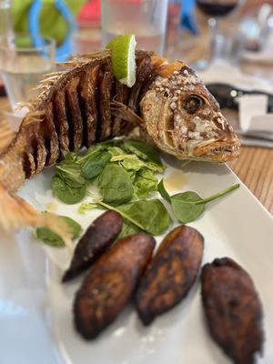 Pachamanka Authentic Peruvian Cuisine by null