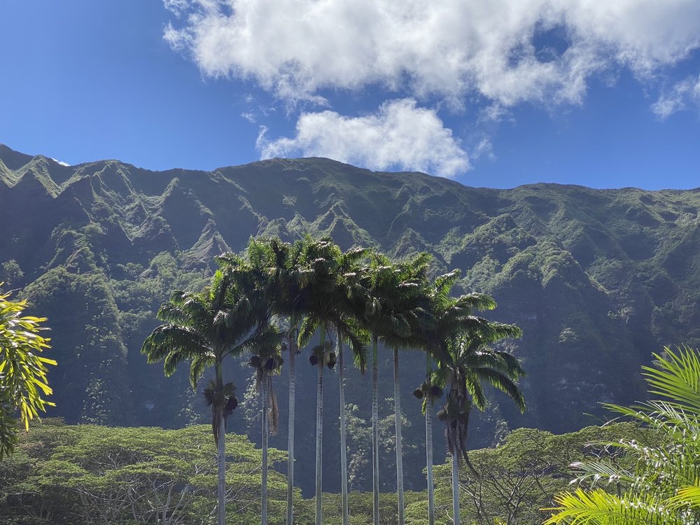 CONTEMPORARY LANDSCAPING Updated September 2024 41758 Waikupanaha