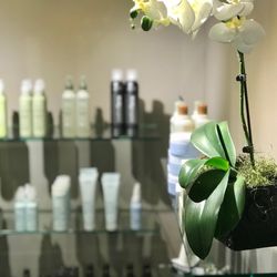 Aponi Salon