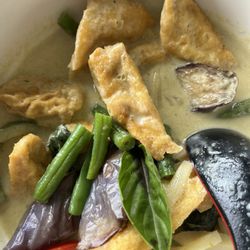 Land of Thai - Green Curry with fried Tofu