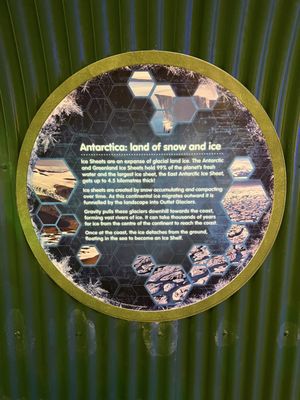 SEA LIFE Kelly Tarlton's Aquarium by null