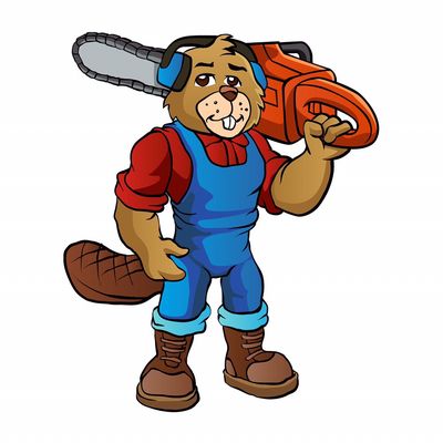 About Us-(37 Years Of Experience) - At Southeast Trees in Pasadena, TX, we understand how physically demanding and time-consuming it is to keep your property trees looking good. Professionals should handle this serious task to prevent damage to the trees and the property. Our team is trained to use the equipment, experience, and knowledge to trim, remove and maintain your trees to look beautiful and healthy. About Us-(37 Years Of Experience) - At Southeast Trees in Pasadena, TX, we understand how physically demanding and time-consuming it is to keep your property trees looking good. Professionals should handle this serious task to prevent damage to the trees and the property. Our team is trained to use the equipment, experience, and knowledge to trim, remove and maintain your trees to look beautiful and healthy.