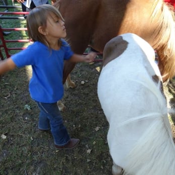 Ford Farms - Brushing - Petting Zoos Near Me - Lindsay, California Ford Farms - Brushing - Petting Zoos Near Me - Lindsay, California