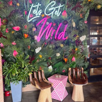Wild - Coffee & Tea Near Me - Houston, Texas Wild - Coffee & Tea Near Me - Houston, Texas