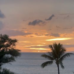 Kamaole Beach Royale Resort